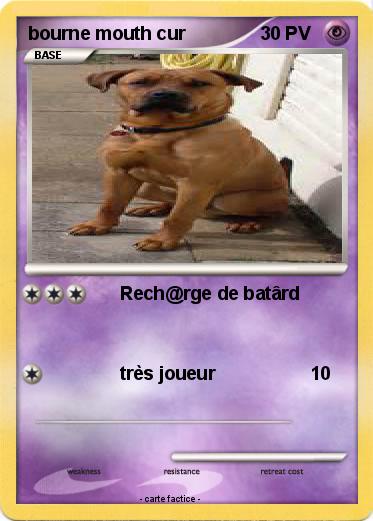 Pokemon bourne mouth cur