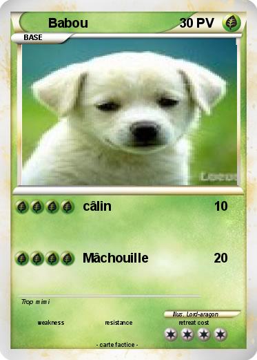Pokemon Babou