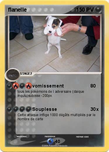 Pokemon flanelle
