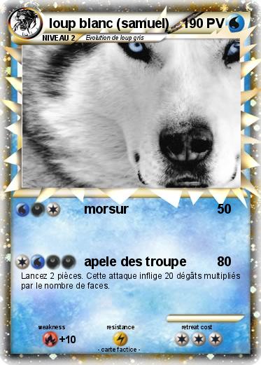 Pokemon loup blanc (samuel)