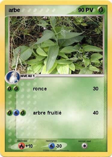 Pokemon arbe