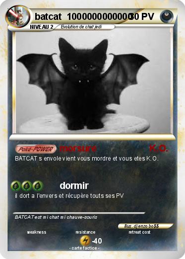 Pokemon batcat  1000000000000