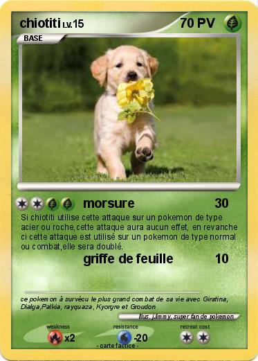 Pokemon chiotiti