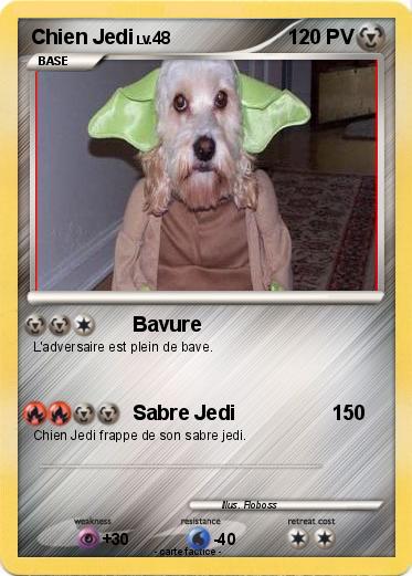 Pokemon Chien Jedi