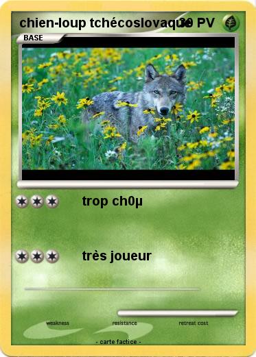 Pokemon chien-loup tchécoslovaque