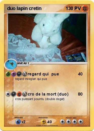 Pokemon duo lapin cretin