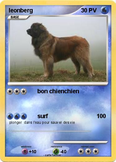 Pokemon leonberg