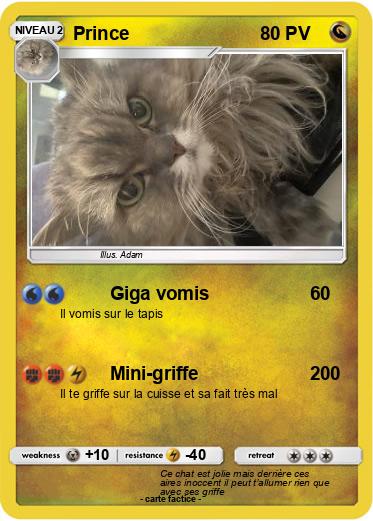 Pokemon Prince