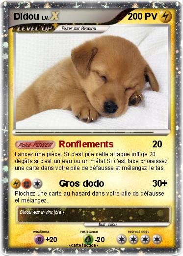 Pokemon Didou
