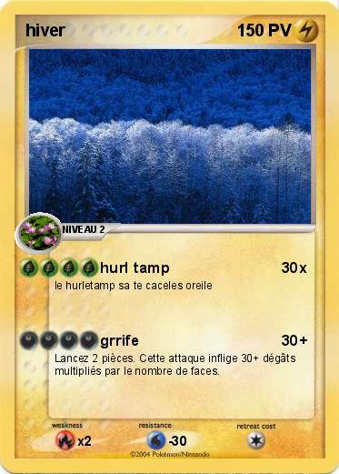 Pokemon hiver