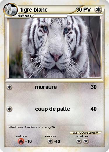 Pokemon tigre blanc