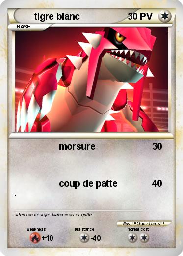 Pokemon tigre blanc