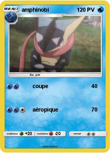 Pokemon amphinobi