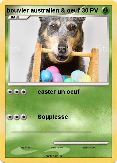 Pokemon bouvier australien & oeuf