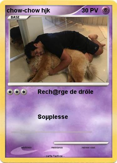 Pokemon chow-chow hjk