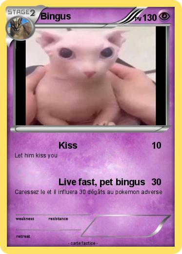 Pokemon Bingus