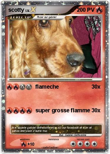 Pokemon scotty