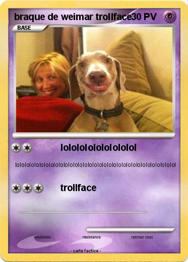 Pokemon braque de weimar trollface
