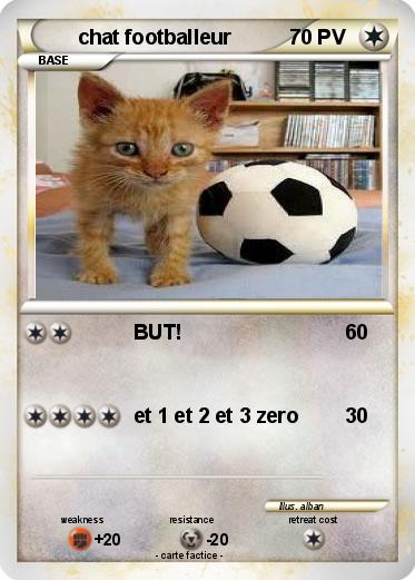 Pokemon chat footballeur