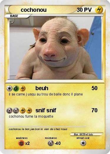 Pokemon cochonou