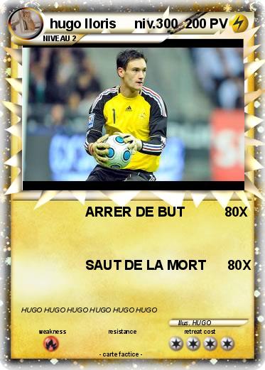 Pokemon hugo lloris     niv.300