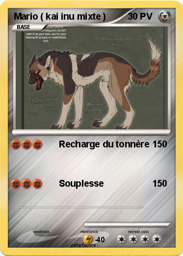 Pokemon Mario ( kai inu mixte )