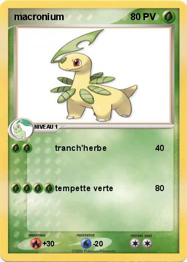 Pokemon macronium