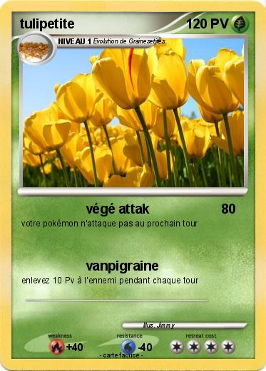 Pokemon tulipetite