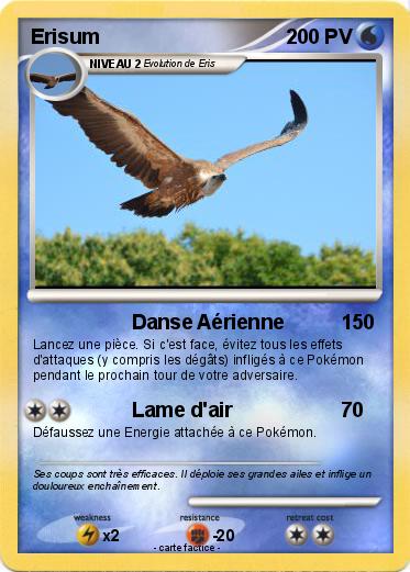 Pokemon Erisum
