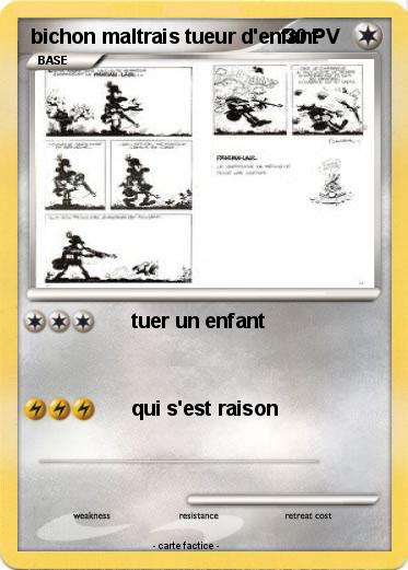 Pokemon bichon maltrais tueur d'enfant