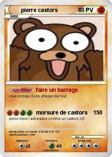 Pokemon pierre castors