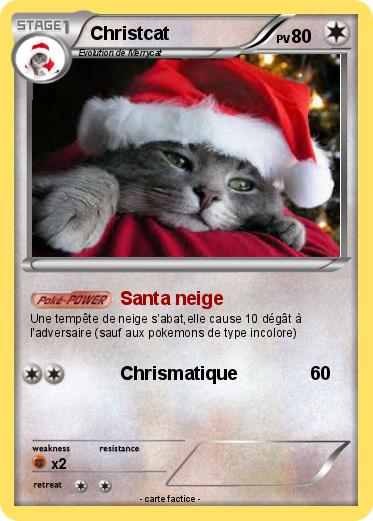 Pokemon Christcat