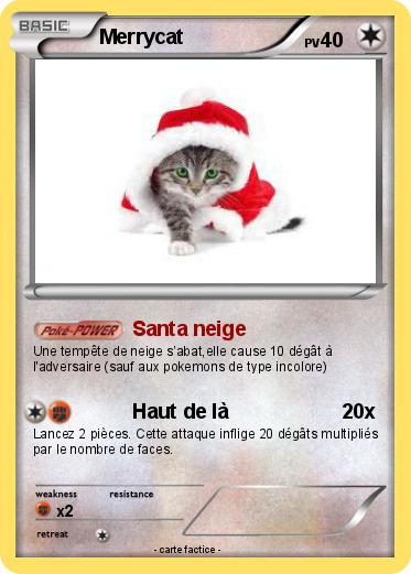 Pokemon Merrycat