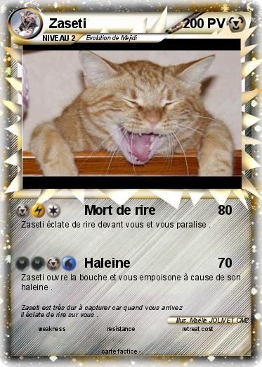 Pokemon Zaseti