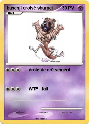 Pokemon basenji croisé sharpei