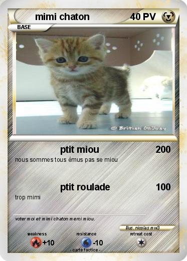 Pokemon mimi chaton