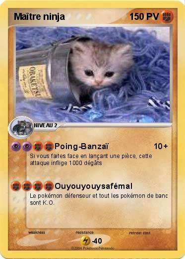 Pokemon Maître ninja