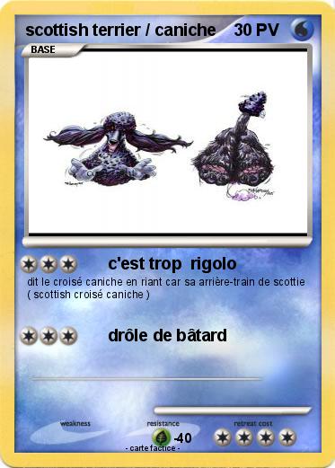 Pokemon scottish terrier / caniche