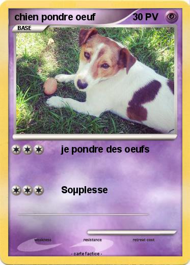Pokemon chien pondre oeuf