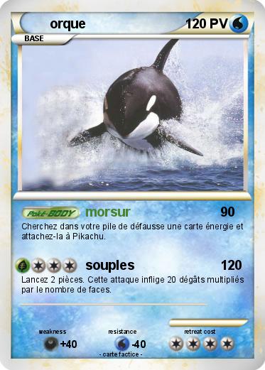 Pokemon orque
