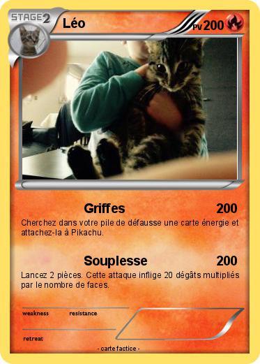 Pokemon Léo