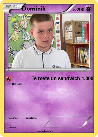 Pokemon Dominik