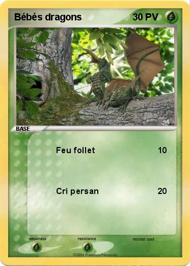 Pokemon Bébés dragons