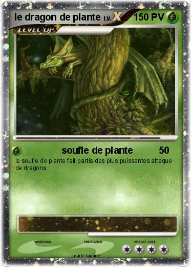 Pokemon le dragon de plante
