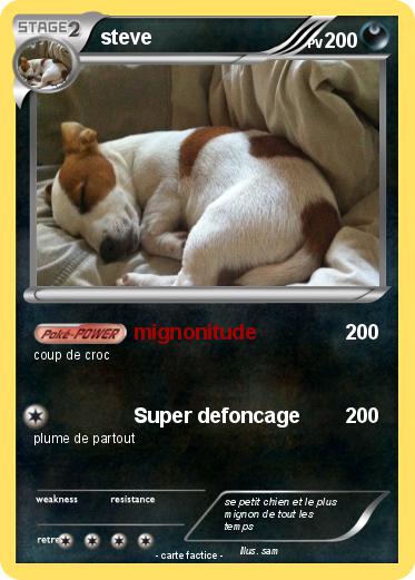 Pokemon steve