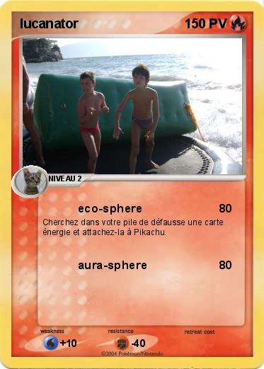 Pokemon lucanator