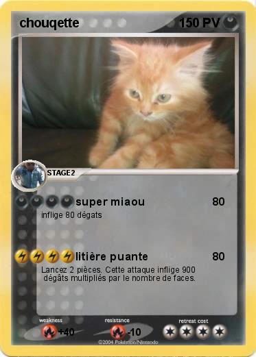 Pokemon chouqette
