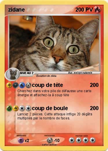 Pokemon zidane