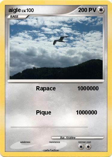 Pokemon aigle