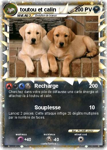 Pokemon toutou et calin